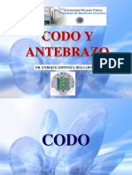 CODO Y ANTEBRAZO-oficial