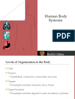 Human Body Systems Overview