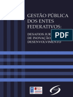 20 - Gestão Política dos Entes Federativos - Desafios Jurídicos de Inovação e Desenvolvimento - Irene Patrícia Nohara.pdf