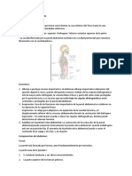 ANATOMIA DEL ABDOMEN.docx