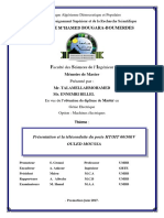 mémoire pdf.pdf