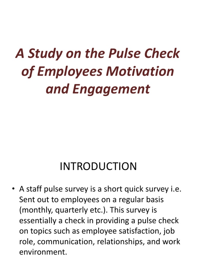 Employee Motivation Pulse Study | PDF