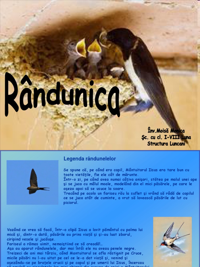 Legenda Randunicii | PDF