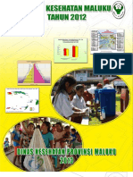 30_Profil_Kes.Prov.Maluku_2012.pdf