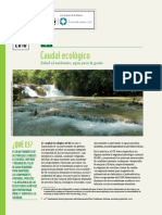 Caudal ecológico - WWF 2007.pdf