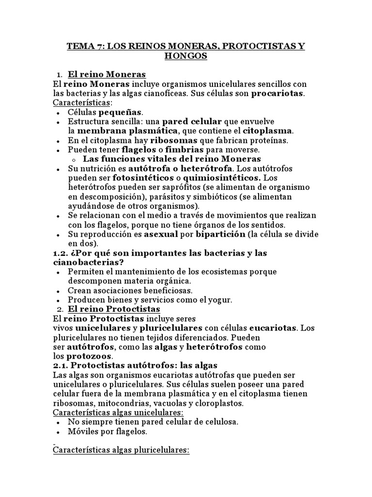 Reinos Moneras, Protoctistas y Hongos | PDF | Algas | Biología Celular)