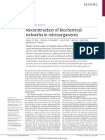Reconstruction of Biochemical Networks in Microorganisms