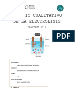 ESTUDIO CUALITATVO DE LA ELECTROLISIS Practica N 1