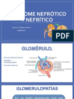 Sindrome Nefrótico y Nefrítico