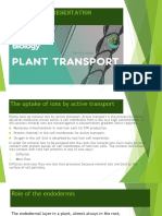 Transport in Plants.pptx