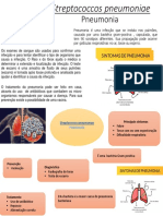 Micro Biolog i A