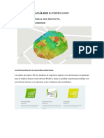 Análisis e Inspeccion PDF
