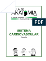 NOVA APOSTILA - Sistema Cardiovascular