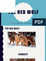 The red wolf pfs nico.pptx
