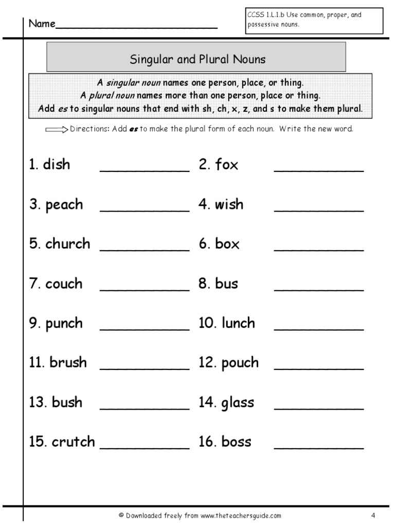 Singular Plural Nouns 4 | PDF | Career & Growth | Foreign Language Studies