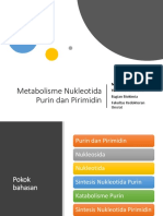 2019 Metabolisme Nukleotida Purin dan Pirimidin - Copy.pptx