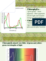 Non-Cyclic Photophosphorylation Notes 10-26 and 10-28