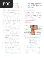 Anatomy Comprehensive Exam Review Questions