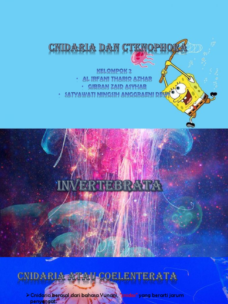 Biologi Cnidaria