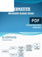 277016167-Dermatitis.ppt