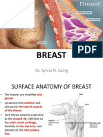 Breast: Dr. Sylvia N. Saing