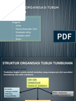 STRUKTUR ORGANISASI TUBUH TUMBUHAN.pptx