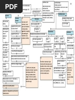 PATHOPHYSIOLOGY 