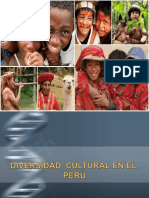 1 Diversidad Cultural