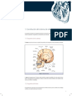 01_Anatomia.pdf
