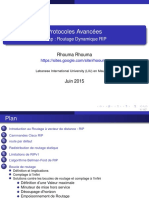 Routage À Vecteur Distant PDF