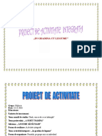 Proiect de Activitate Integrata 1