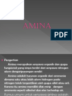 AMINA PRIMER DAN SEKUNDER