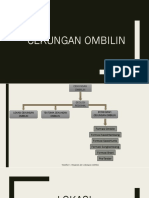 Materi CEKUNGAN OMBILIN