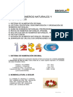 Manual Básico PDF