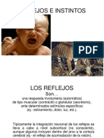 PS - Del Desarrollo