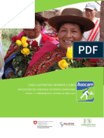 Sistema de mercado de flores de corte en Cusco: oportunidades para productores locales