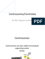 Centrosomes/Centrioles: by Minh Nguyen-Jordan (