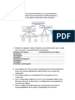 Actividades