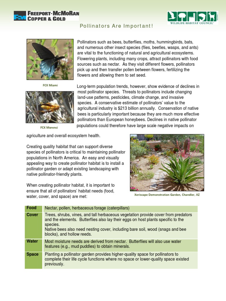 Importance of Pollinators and Habitat Creation | PDF | Pollinators | Bees