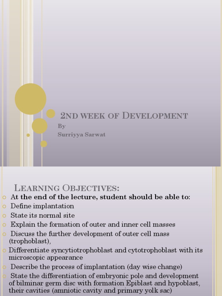 Second Week of Embryonic Development | PDF | Implantation (Human Embryo ...