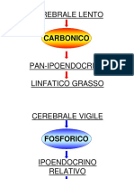 COSTITUZIONI_DAL_MIND_AL_BODY.pdf