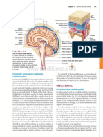 Ejercicios Resueltos Electrocardiografia