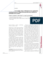 2015-Barato-Persistence of a Single Clone of Streptococcus Agalactiae Causing Disease in Tilapia