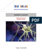 Biologia - Neurônios Sinapses Demo