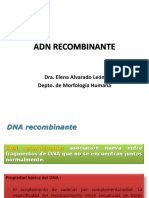 ADN RECOMBINANTE.pptx