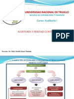 Clase 1 Peritaje Contable