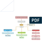 Mappa Sistema Muscolare