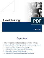 Hole Cleaning PDF