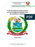 Plan de Trabajo Anual 2019 PDC