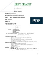 lesson plan cls V past simple reg verbs.doc